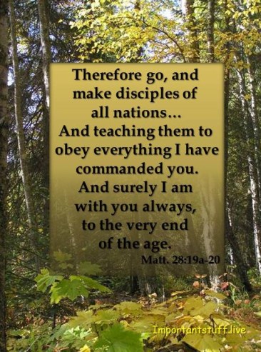 Matt28-19-20copy