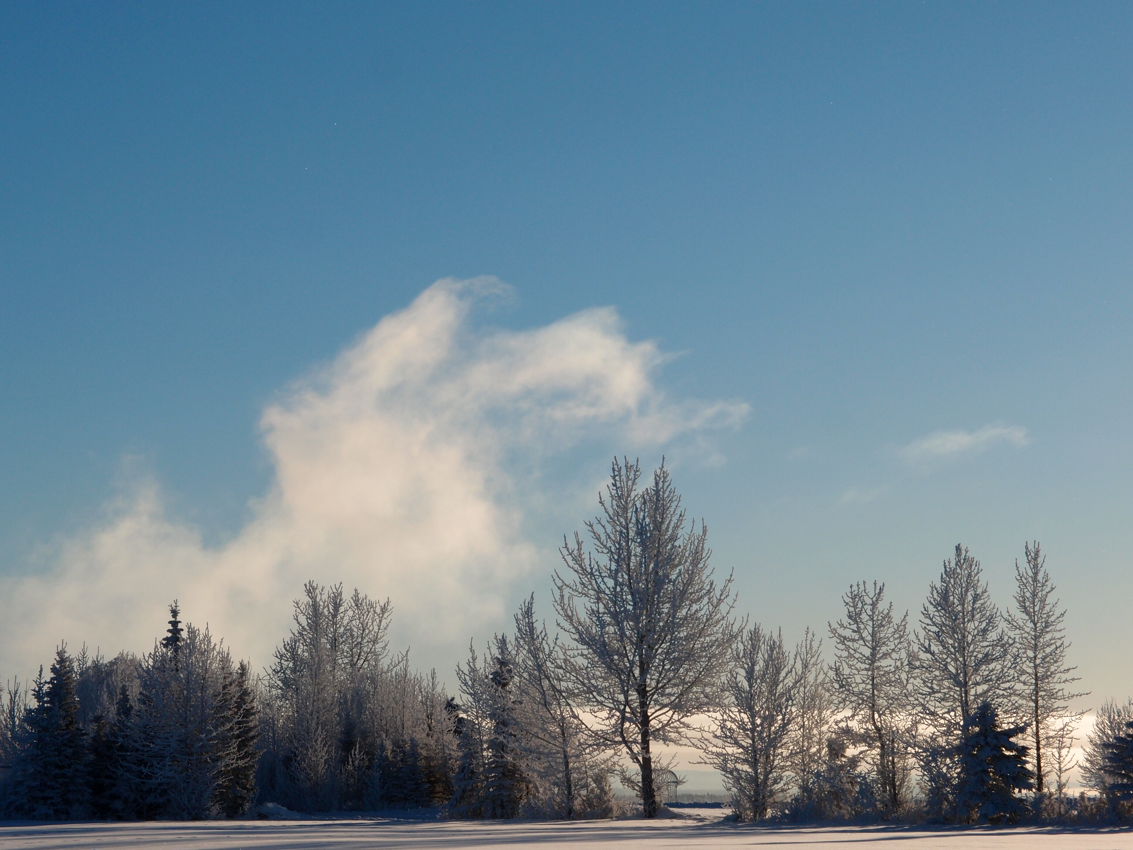 Kenai Baseball Field