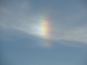 Sun Dog